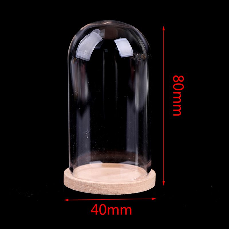 1:12 Dollhouse Miniature Decor Flower Display Glass Display Bell Jar with Base
