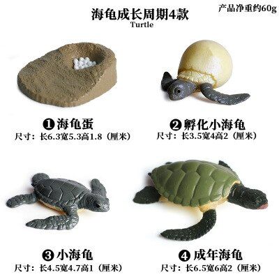 PVC Simulation Insect  Growth Solid Soybean Toy Figures Mini Figures Toy Science Education for Baby Early Toy Gift
