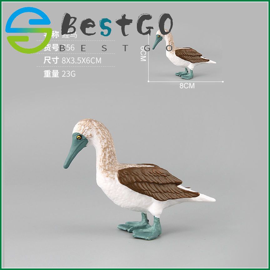 Solid  model solid parrot