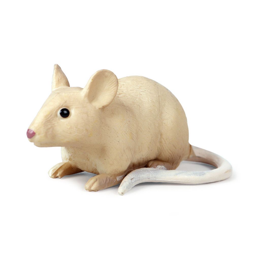 Realistic Mouse Rat Opossum Animal Model Figures Desk Decor Education Kids Toy
