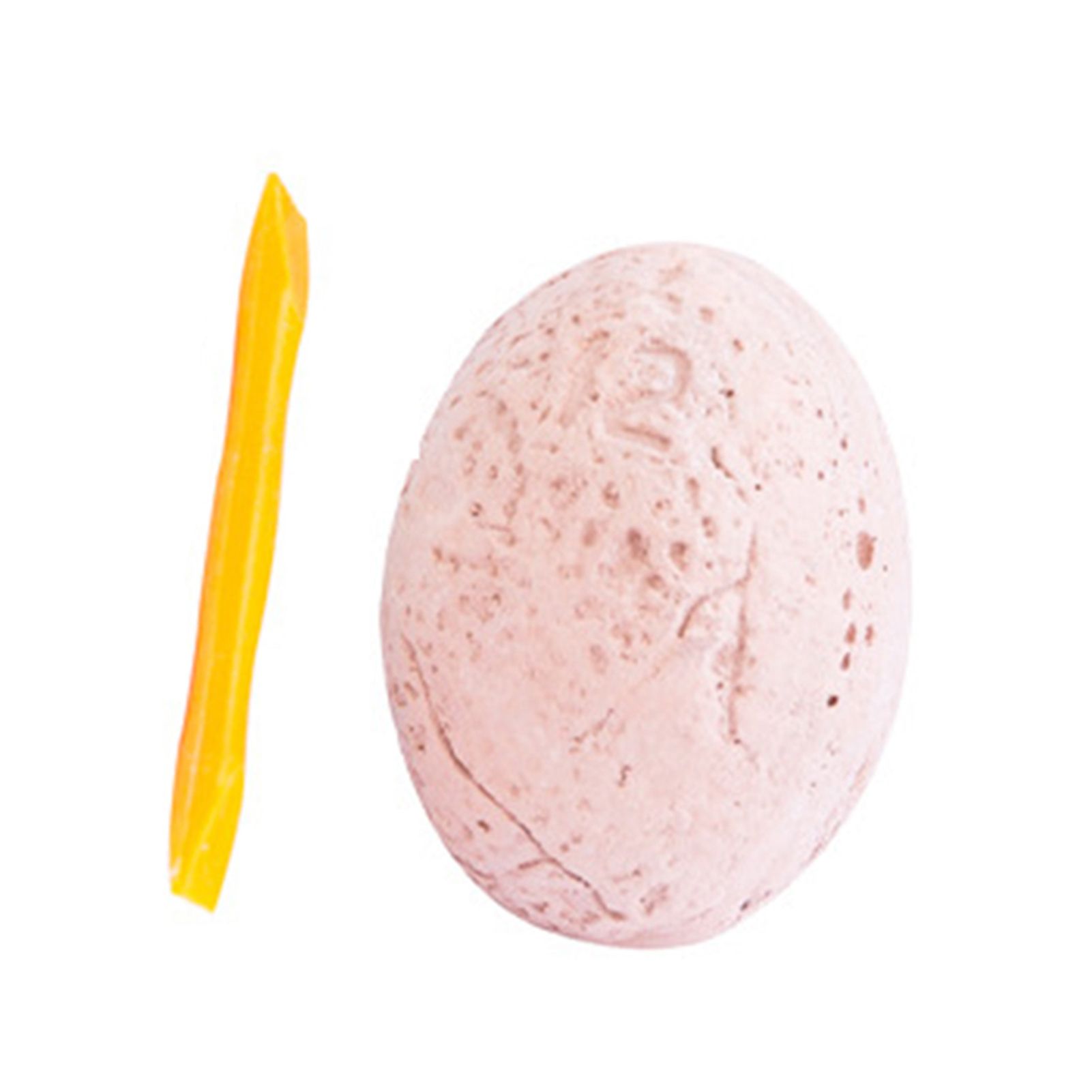 Egg Excavation Kit Long Lasting Discover Dinosaurs Egg