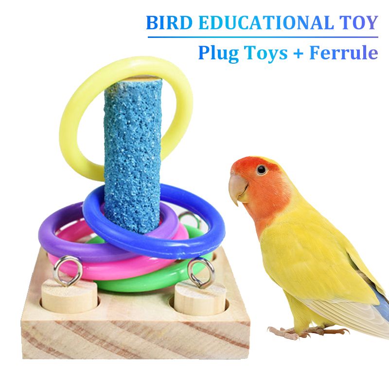 Little Bird Parrot Educational Toy Wooden Color Plug Cylindrical Wood Bird Toy - Type 2