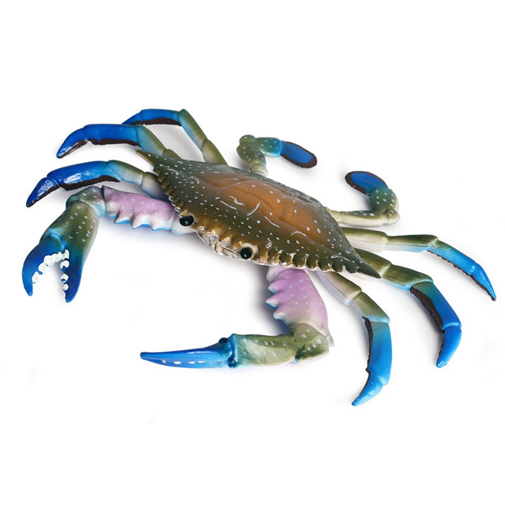 Simulation Hermit Crab Marine Animal PVC Model Desktop Decor Education Kids Toy