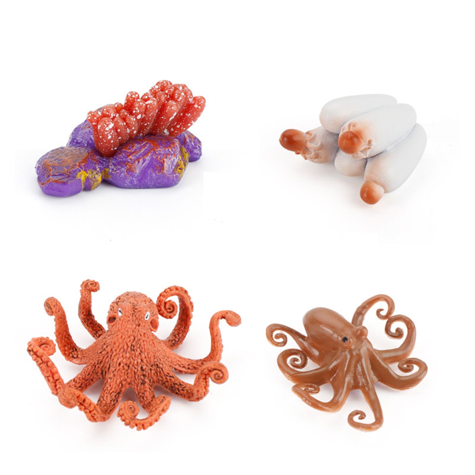 Model Toy  Animal Design Early Educational Plastic Learning Growth Cycle mini for Children