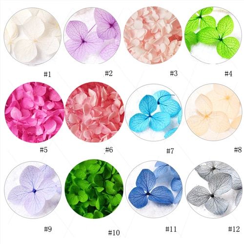 Dried Flower Set 300colors Nail Art Mixed Shape With Bottle 3D Dry Flower Nail Japanese UV Gel Nails Manicure Tips Charming ZCFD