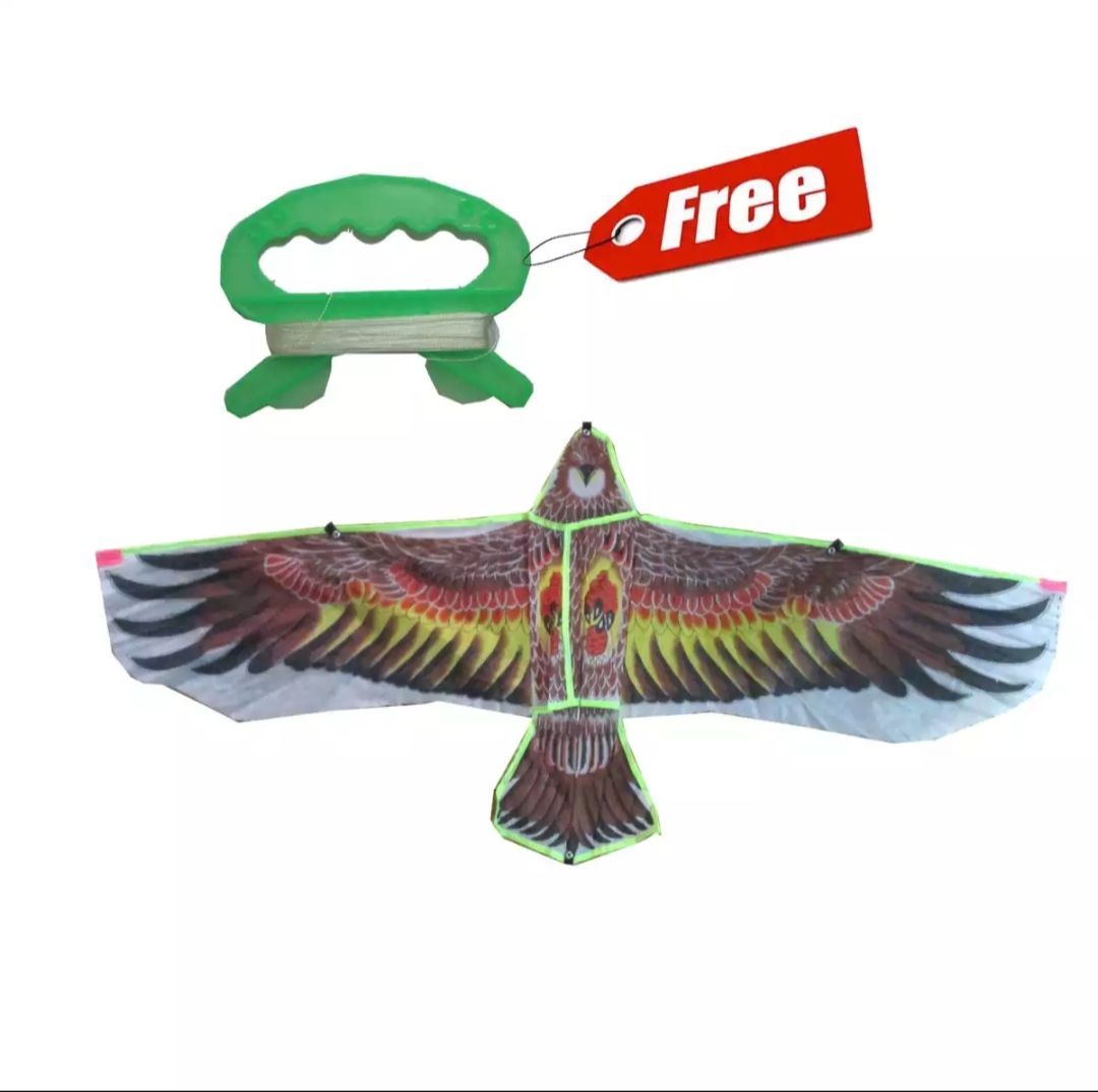 Chil guri/kite/Flying kite