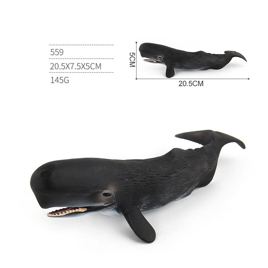 Yfashion ulate Whale l Modeling Educational oy for Kids Rome Decoration