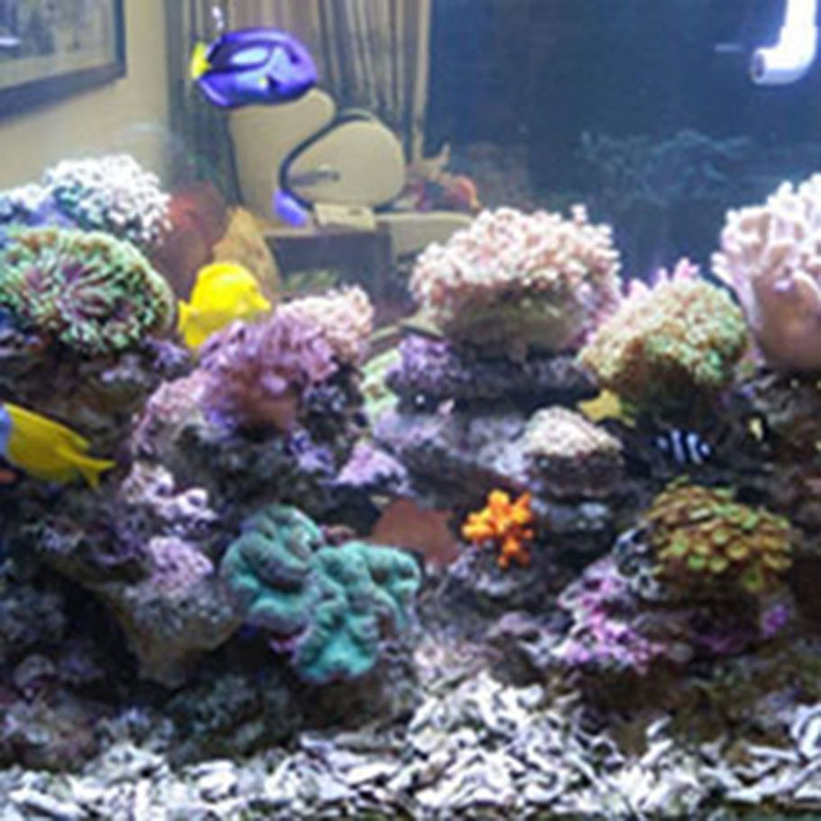 5/7/9/11/13W Aquarium Submersible UV Light Fish Tank Underwater Purifier Lamp