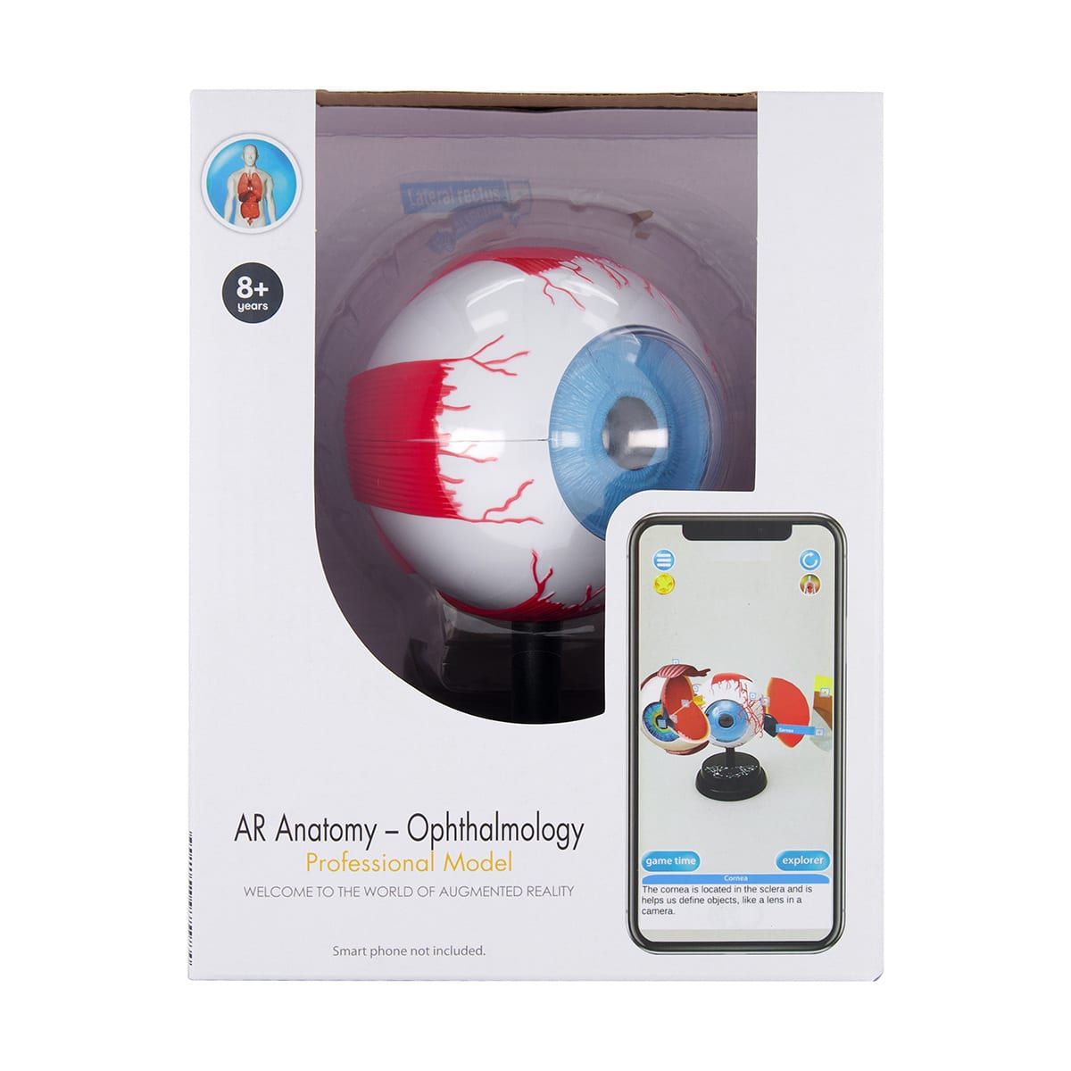 AR Anatomy Professional Model - Ophthalmology