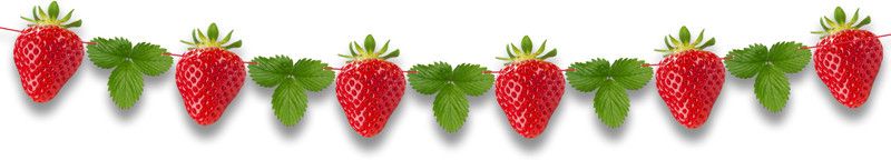 Seyal Strawberry Garland Decoration New Banner  (12 ft, Pack of 1)