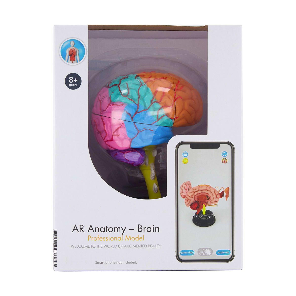 AR Anatomy Professional Model - Brain