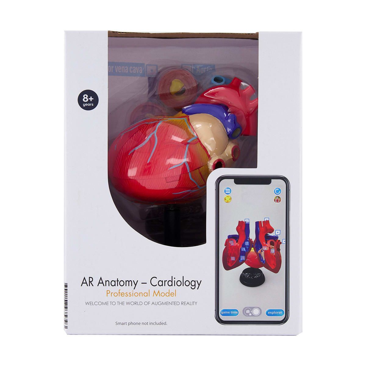 AR Anatomy Professional Model - Cardiology