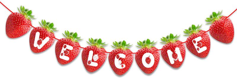 Seyal Real Strawberry Welcome Banner Banner  (12 ft, Pack of 1)