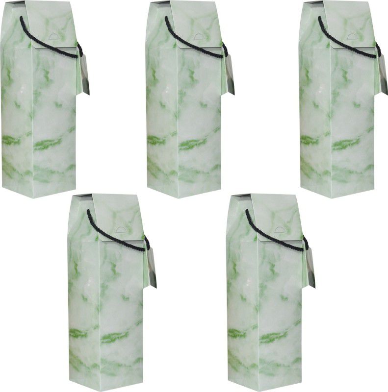 TRIACE Printed Party Bag  (Green, Pack of 5)