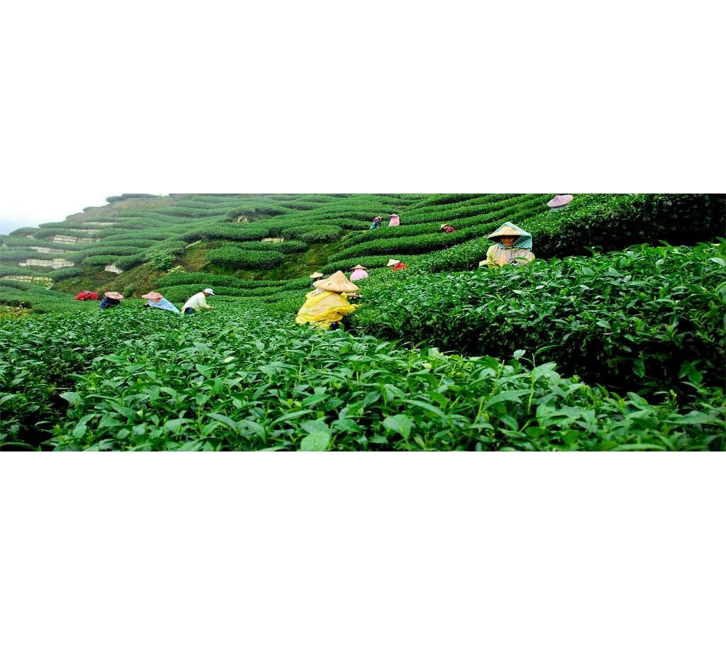 Sylhet tour