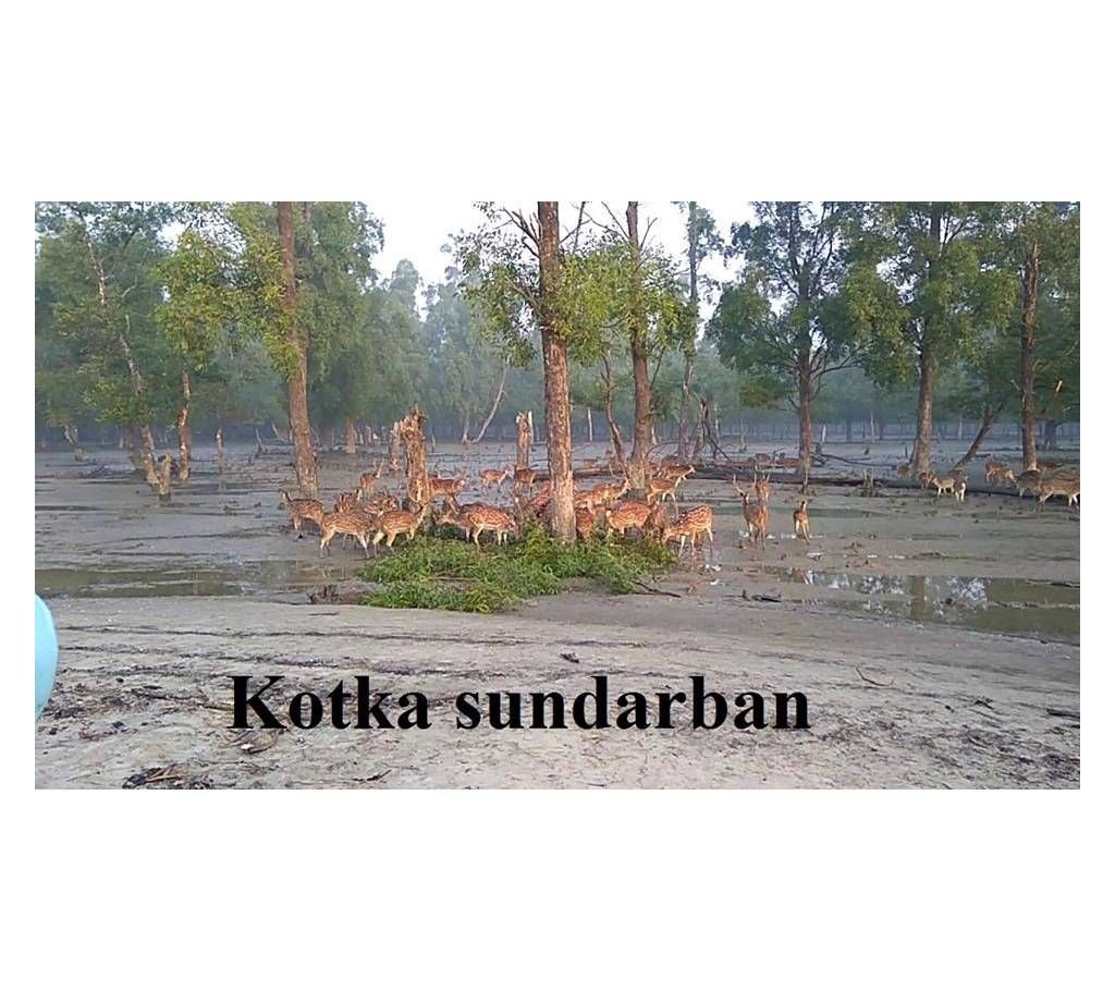 Sundarban Tour