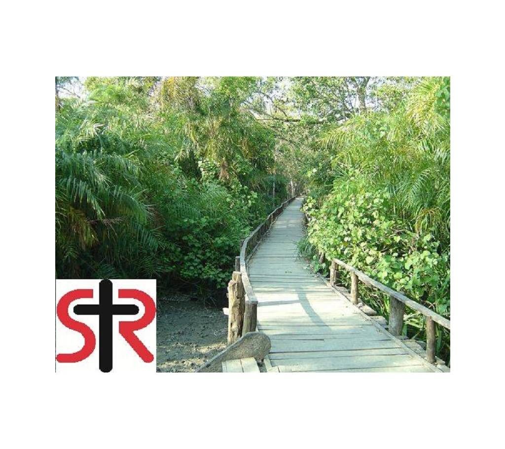 2 Nights / 3 Days (Group Tour 25 Person) - SUNDARBAN, KHULNA