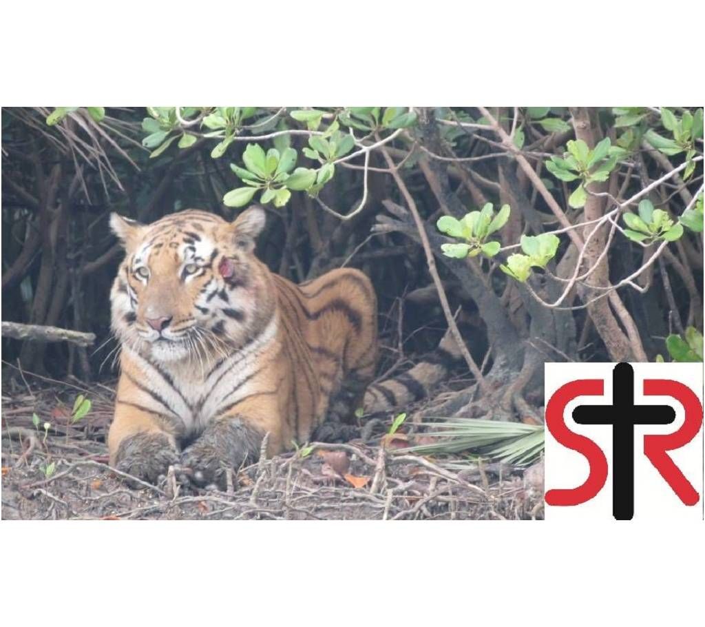 2 Nights / 3 Days (Group Tour) - SUNDARBAN, KHULNA