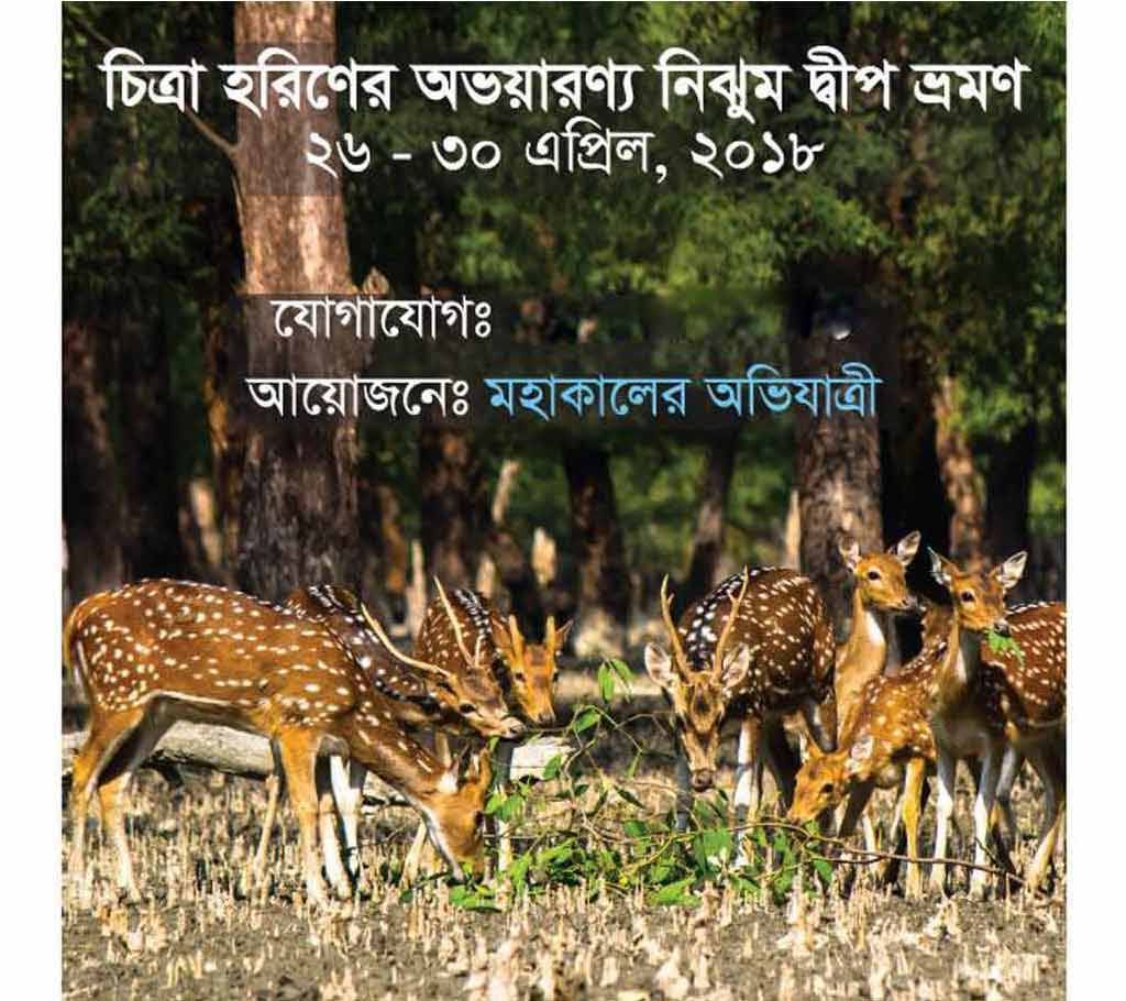 nijhum island tour package 