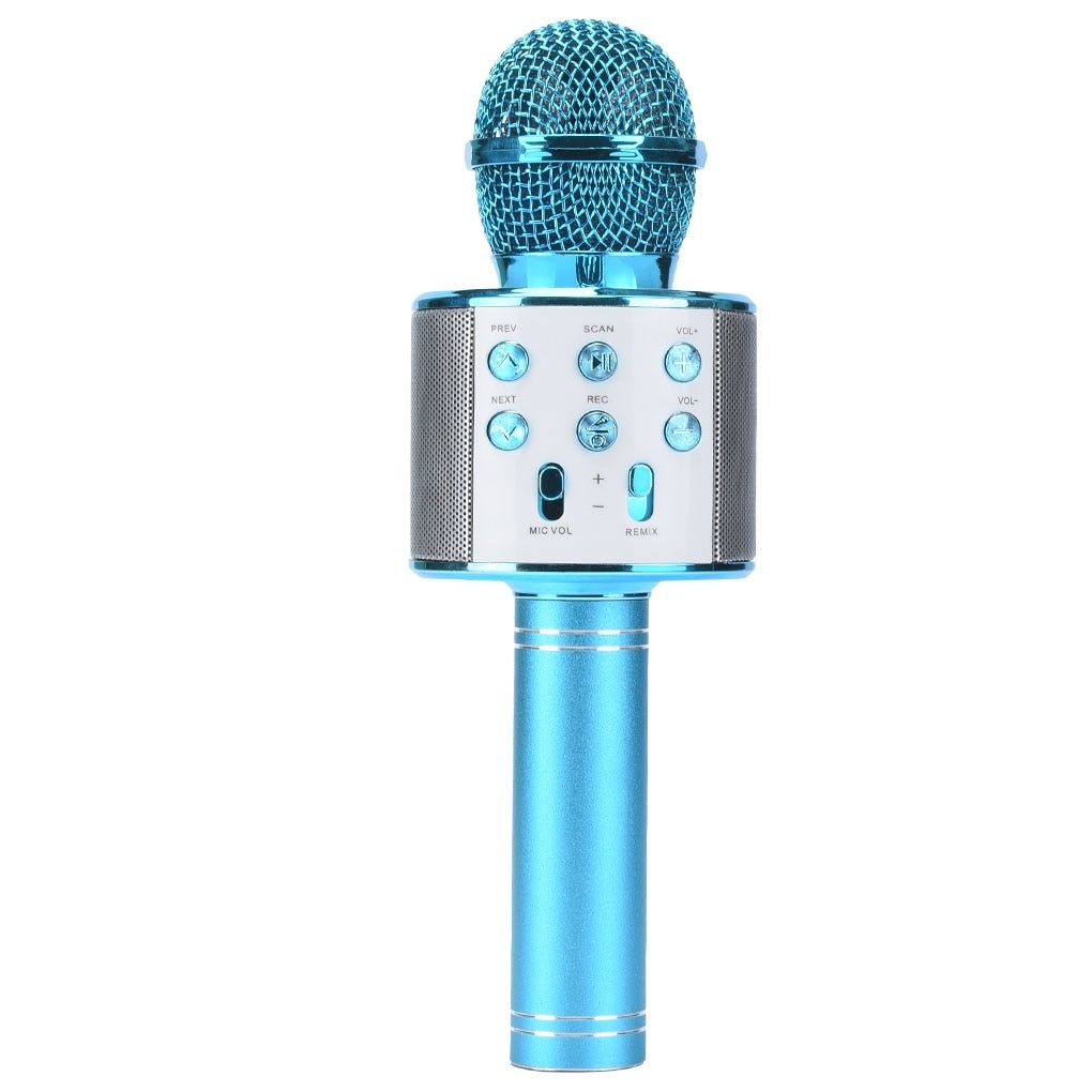 WS858 rtable    Professional Speaker Home KTV Handheld Microphone Microphone black