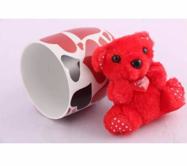 Small Teddy bear and Mug Combo