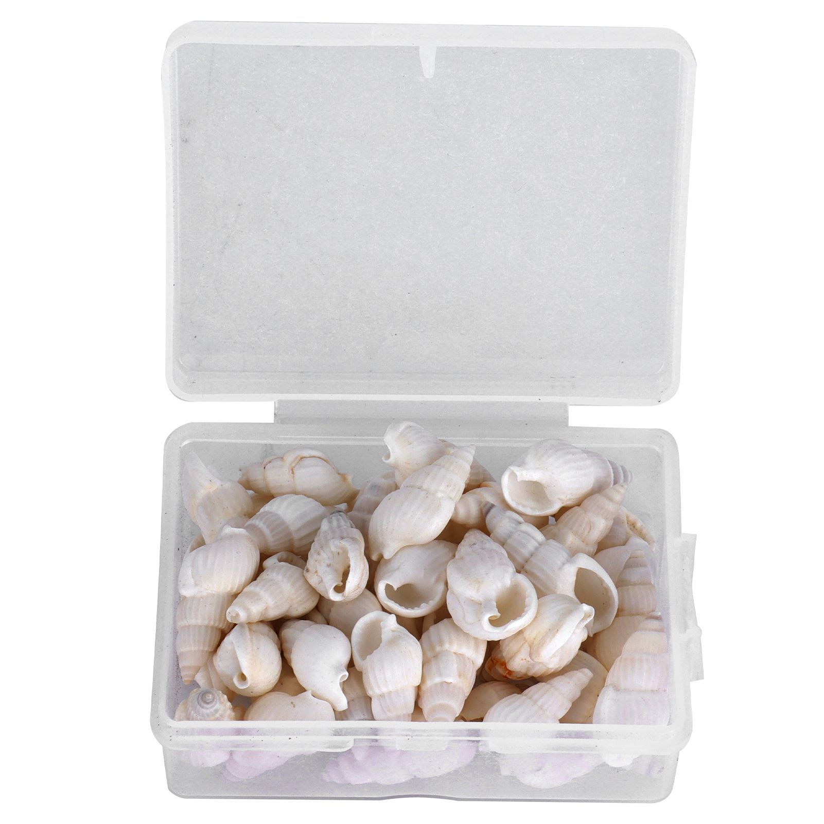 DIY Conch Compact Portable Jewelry Craft Exquisite Beautiful Sea For Men
