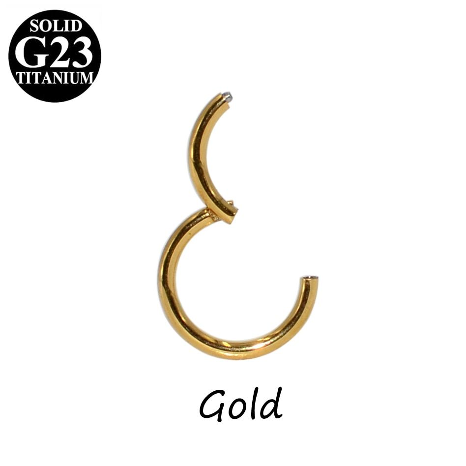 1pcs G23 Titanium Hinged Segment Nose Ring Septum Piercing Nose Ring Lip Ring Earrings Helix Piercing Body Jewelry