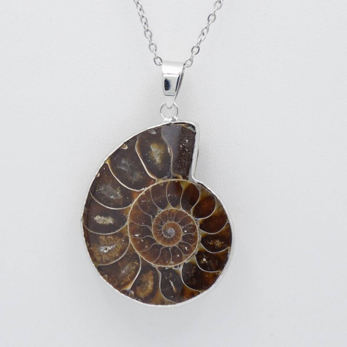 New Fashion 1Pc Natural Ammonite Seashell Fossils Snail Pendants Ocean Conch Reliquiae Pendant for Women Men Necklace Gift