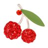 Women's Gorgeous Cute Red Rhinestone Cherry Leaf Fruit Brooch Pin cessory