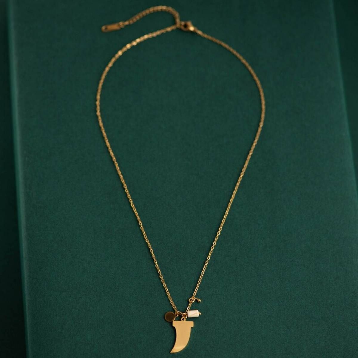 Wild&Free 2020 NEW Women OX Horn Necklace Bohemian Stinless Steel Gold Chain Tiny White Stone Pendant Necklace