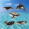 1Pc Fashion Enamel Lapel Badge Uni Cartoon Whale Dolphin Print Brooch Pin