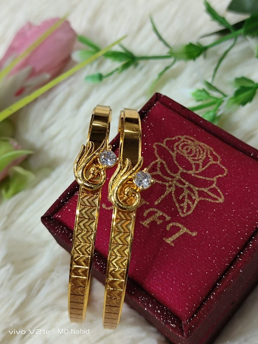 Bangles/Churi For Women & Young Girl -2pcs