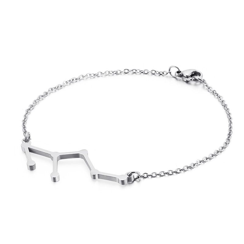 Women Twelve Constellations Cubic Zirconia Bracelet Color Stainless Steel Aries Taurus Gemini Cancer Leo Virgo Bracelets
