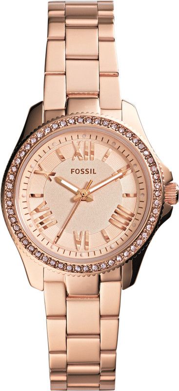 Analog Watch - For Women AM4578I