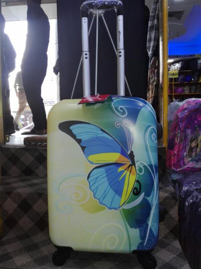 Travel luggage 