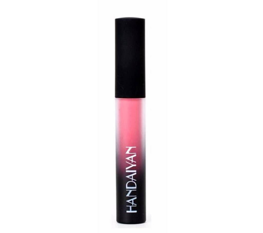 HANDAIYAN Mate Waterproof Long Lasting Moisturizing Lip Gloss-3g-China