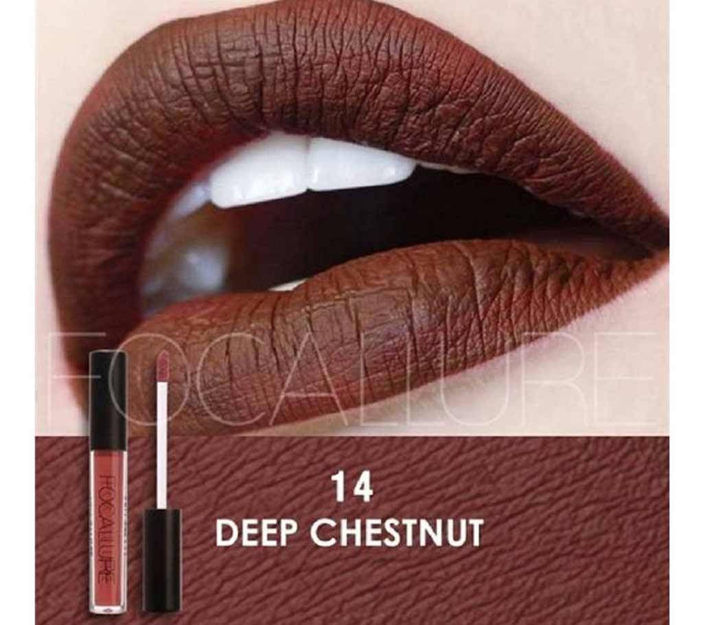 Focallure Matte Liquid Lipstick-Deep Chestnut(14) China