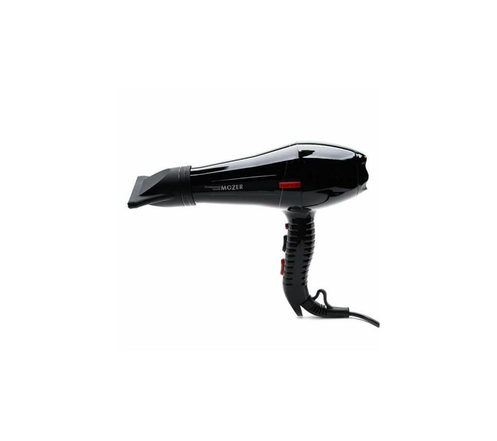 Professional Hair Dryer