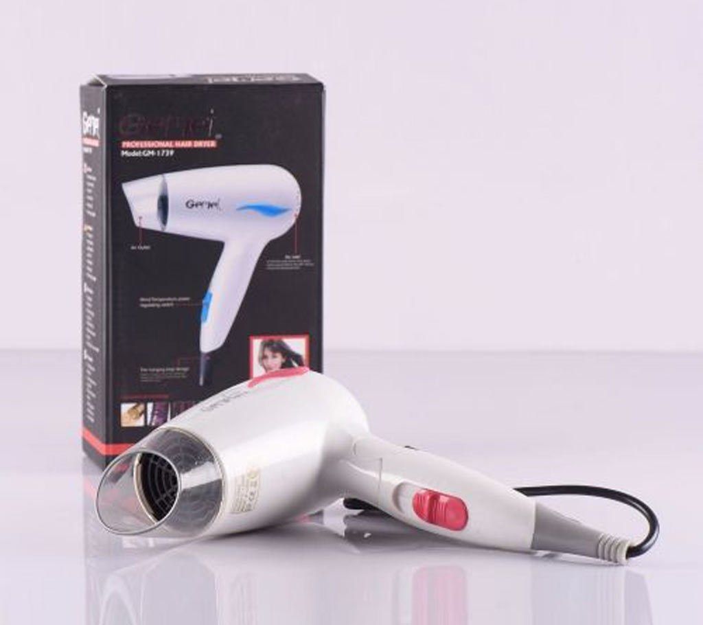 Gemei GM-1739 Hair Dryer 