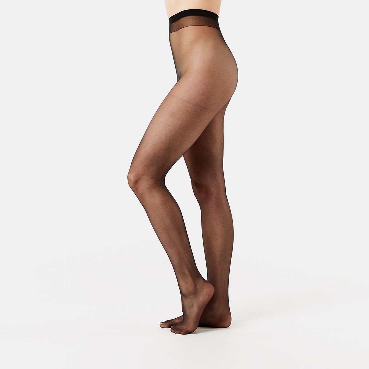 6 Pack Sheer To Waist Pantyhose